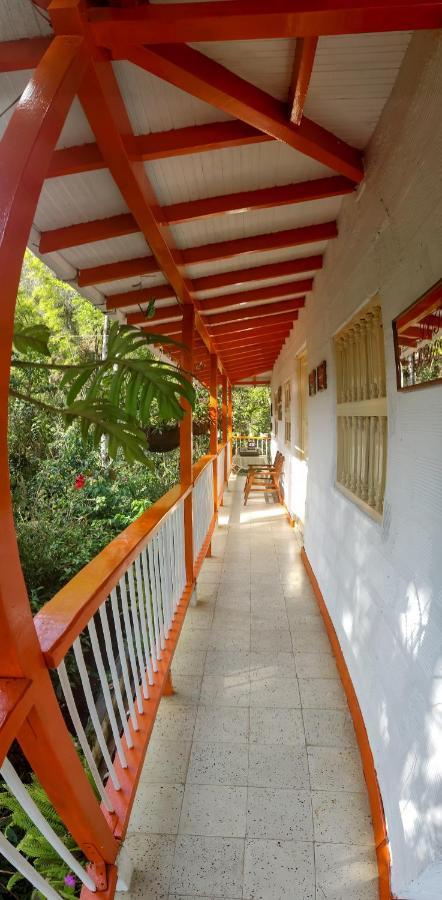 Finca Los Abuelos - La Planta Concepcion Extérieur photo