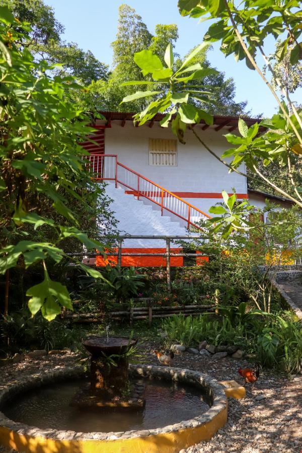 Finca Los Abuelos - La Planta Concepcion Extérieur photo